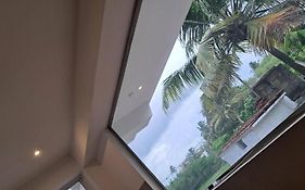 Cactus Surf